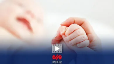 مشارکت هزاران نیروی متخصص در زمینه فرزندآوری