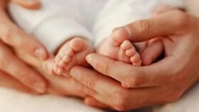 جزئیات برنامههای هفته جمعیت اعلام شد