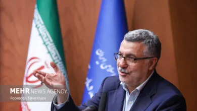 تأکید ظفرقندی بر پرداخت مکفی به پزشک خانواده