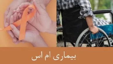 شناسایی بیش از ۹ هزار نفر مبتلا به اماس در فارس شناسایی بیش از ۹ هزار نفر مبتلا به اماس در فارس