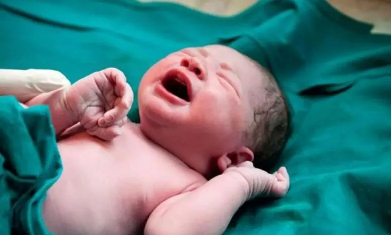 ثبت بیش از ۲۱۴ هزار ولادت در ۳ ماهه اول امسال؛ آمار تولد چندقلوها ثبت بیش از ۲۱۴ هزار ولادت در ۳ ماهه اول امسال؛ آمار تولد چندقلوها