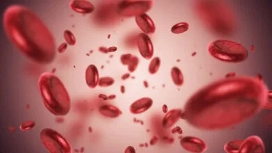 3d render Blood cells (depth of field)