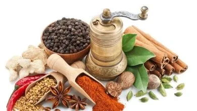 بخور نخورهای فصل بهار از دیدگاه طب ایرانی