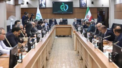 شهریاری: از همه ظرفیت‌های مجلس برای رفع مشکلات دارویی استفاده می‌کنیم